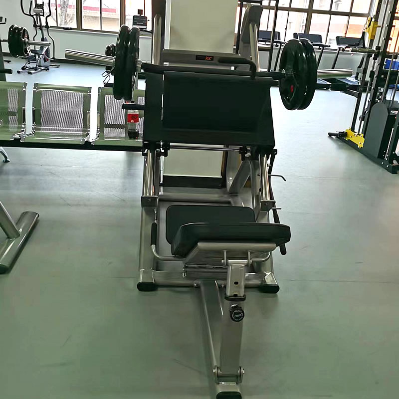JX-833JX-833 JX-833 ID:1363 商用倒蹬機
